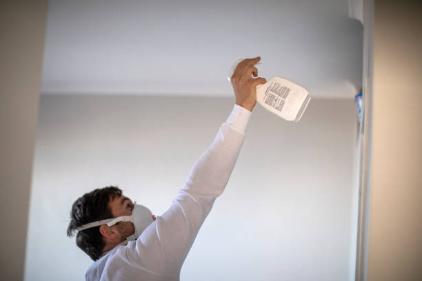 Best Mold Remediation  in Del Mar, CA