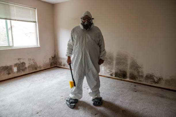 Crawl Space Mold Removal in Del Mar, CA